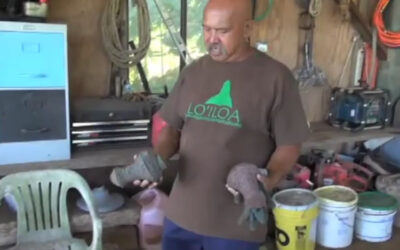 4th Annual “Living the Culture Day”