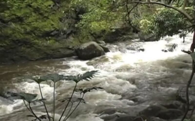 Blessing of Kula Keiki Ali’i Audio Book