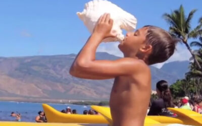 Maui Film and Research Trailer