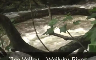 Restoration Day: Iao Valley